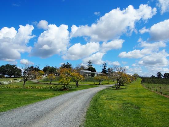 Driveway into Albert River Winery with the winery buildings in the background.